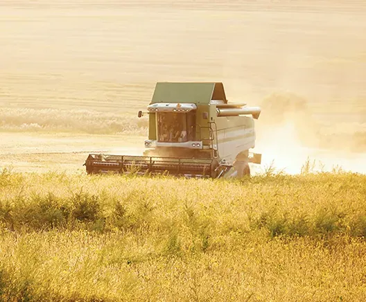 Agroholdings