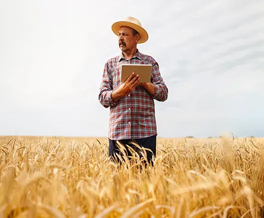 Agronomists & plant breeders