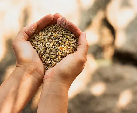 Fertilizers’ & seeds distributors