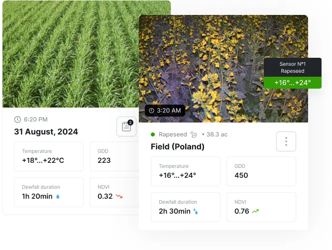 Realtime weather data