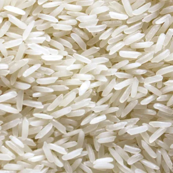 Jasmin