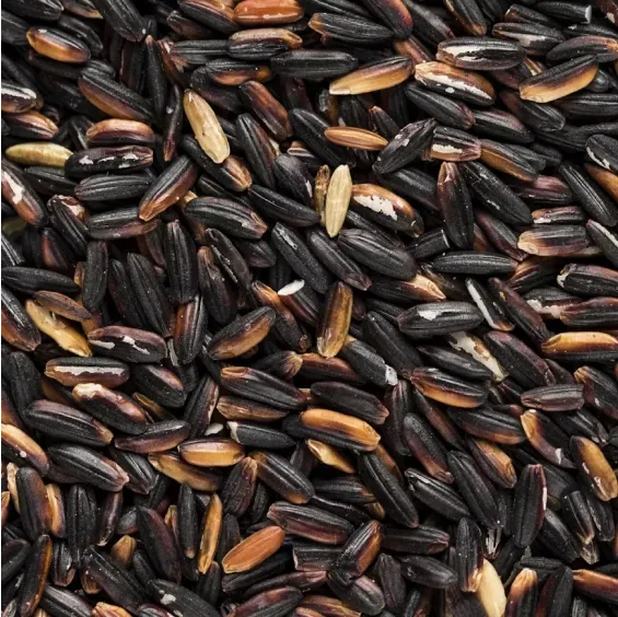 Riz noir