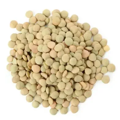 Clear hilum soybeans