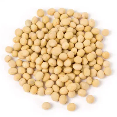 Yellow soybeans