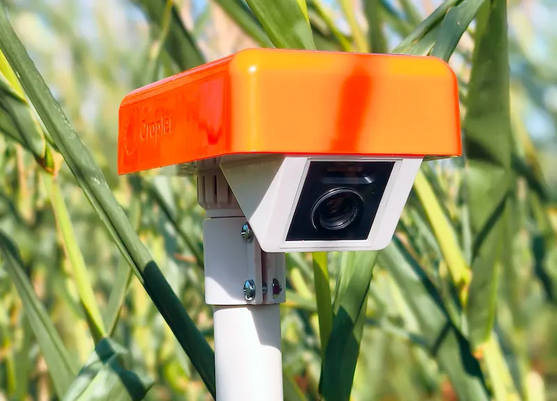 Real-time photo monitoring of plant health