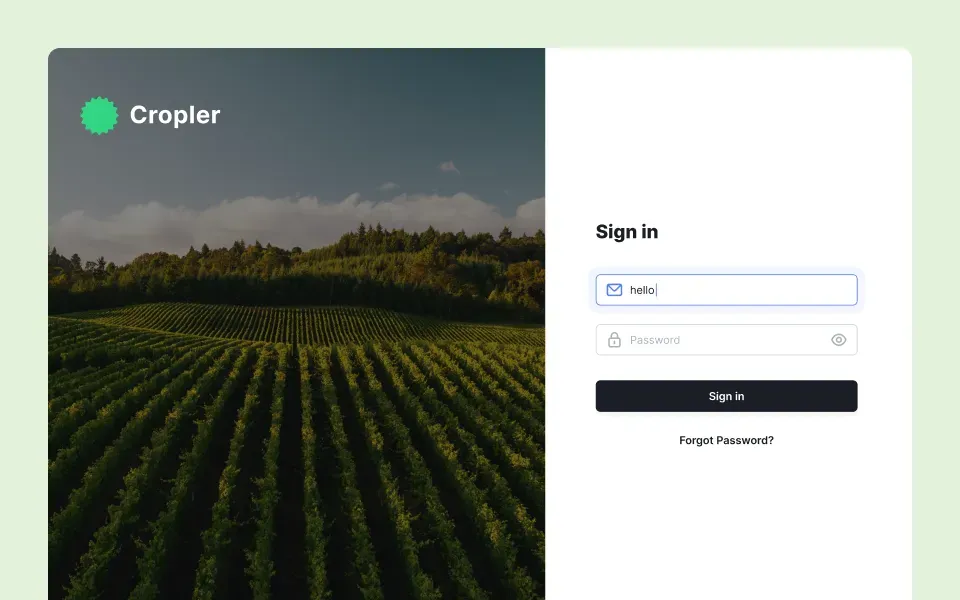 Enable the web platform